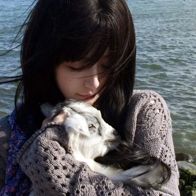 猎鸟